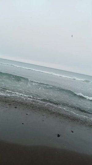 море море шторм