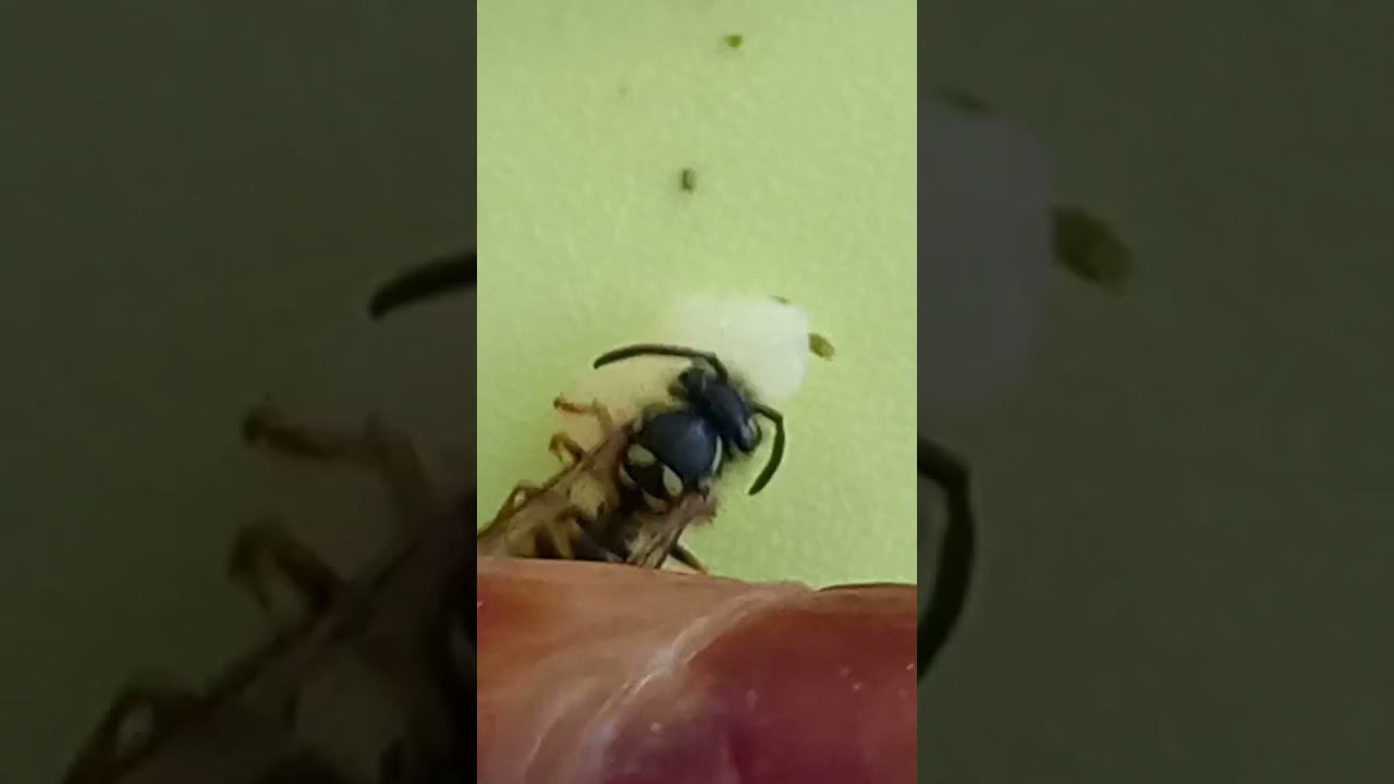 7 сентября 2024 г.