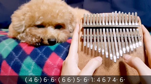 모차르트 자장가 칼림바 Mozart's Lullaby Kalimba Cover With Tabs