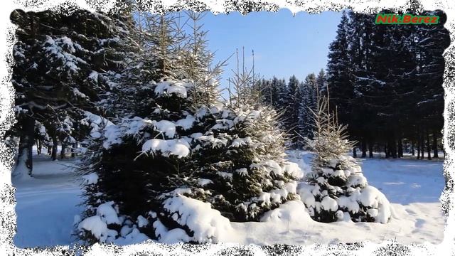 " ЗИМНИЙ ЛЕС " смотреть онлайн