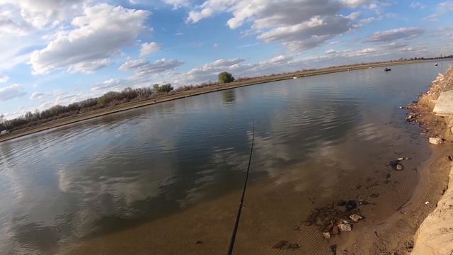 Рыбалка в Астрахани весной.Вобла и судак!Отличная рыбалка хороший клев. смотреть онлайн