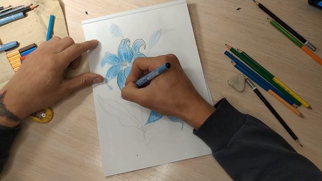 КАК НАРИСОВАТЬ ЦВЕТОК? Рисуем Лилию #какнарисовать #обучение #урок #цветок #рисуемцветок смотреть онлайн