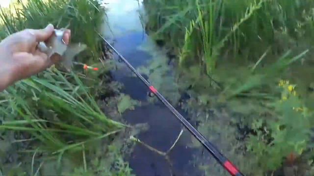 Рыбалка. Ловля карася на поплавок! смотреть онлайн