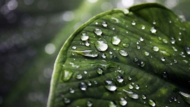 043. МУЗЫКАЛЬНЫЙ ВЗРЫВ ДОЖДЯ | НАНДИ И БАСМАКИ | relax смотреть онлайн