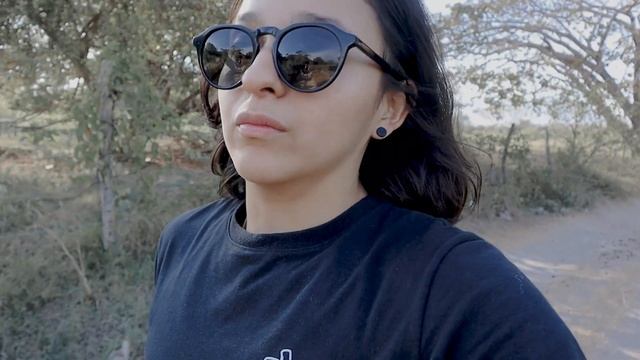 Poniendo a prueba la cámara CANON POWERSHOT A590IS смотреть онлайн