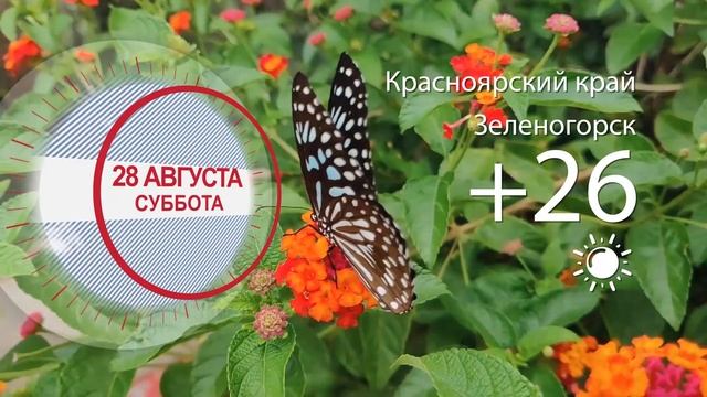Погода в Красноярском крае на 28.08.2021 смотреть онлайн