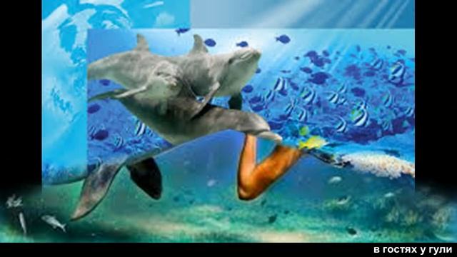 Пение и разговоры дельфинов ? под звуки волн смотреть онлайн