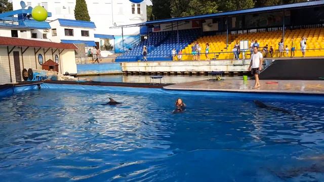 Плаваю с дельфинами! смотреть онлайн