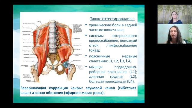 Евгения Карева. Нейроэнергетическая кинезиология,как эффективный инструмент улучшения качества жизн смотреть онлайн