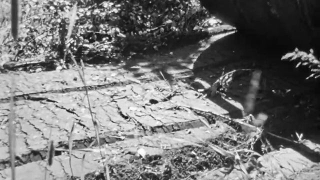 Машина для глубокого фрезерования МТП-42А, 1977. смотреть онлайн