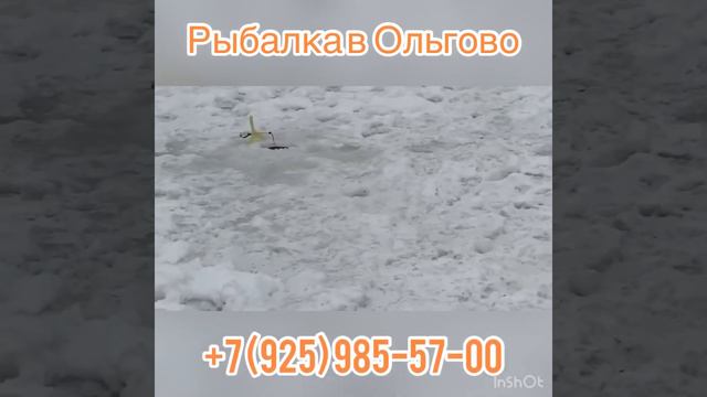 Форелевая рыбалка в Подмосковье. смотреть онлайн