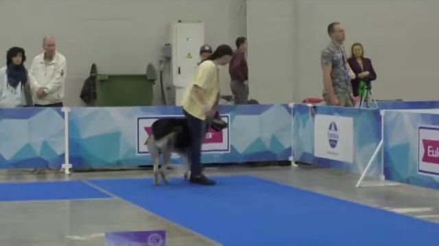 Дали смотреть онлайн