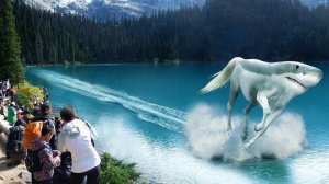 Эти Животные Могут Ходить по Воде