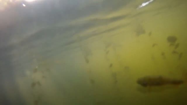 Хто трудиться лєпо - той гуляє свірєпо (#5). Мегатрейд. смотреть онлайн