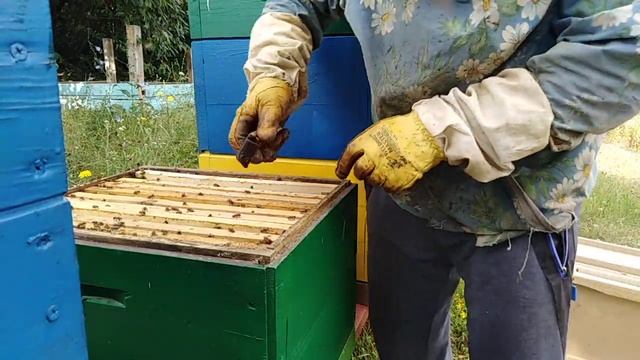 Как заставить пчел носить МЕД во второй корпус  Пчеловодство