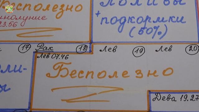 Агрогороскоп поливов на октябрь 2022 года смотреть онлайн