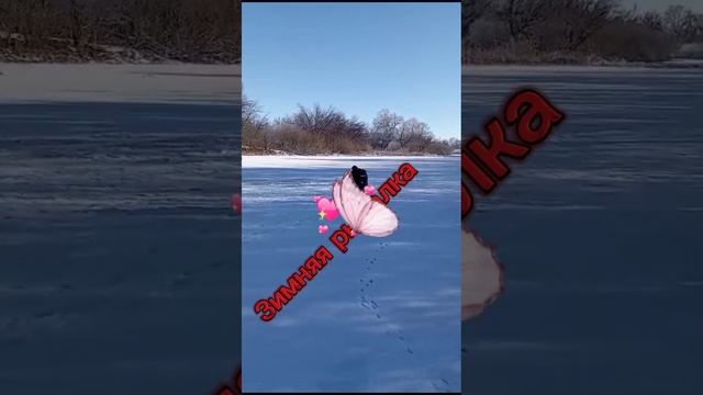 Рыбалка в январе_   Выезд в пойму_ Вот это улов