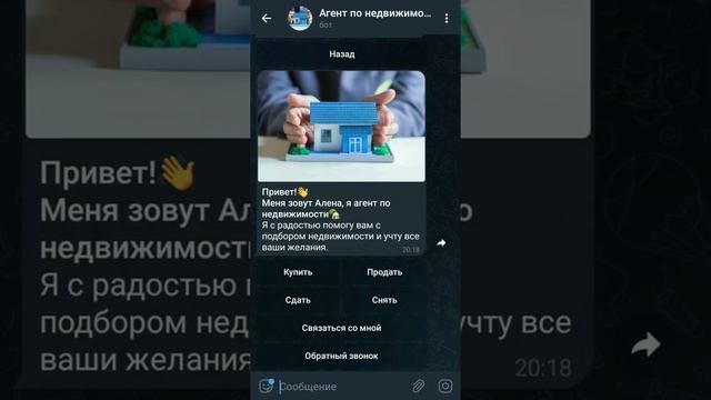 Чат-бот для риэлтора в Telegram смотреть онлайн