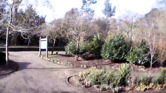 Parrot AR Drone 2.0 - Elite Edition - Day #1 смотреть онлайн