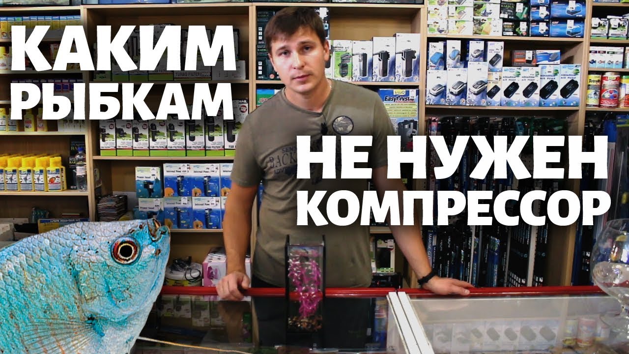 Какие рыбки живут без кислорода?