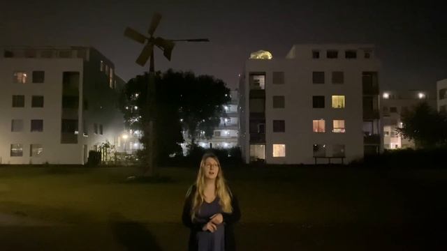 ОЗШ 2020 Лето. Немного личного опыта – Амстердам, Нидерланды (Риточка) смотреть онлайн