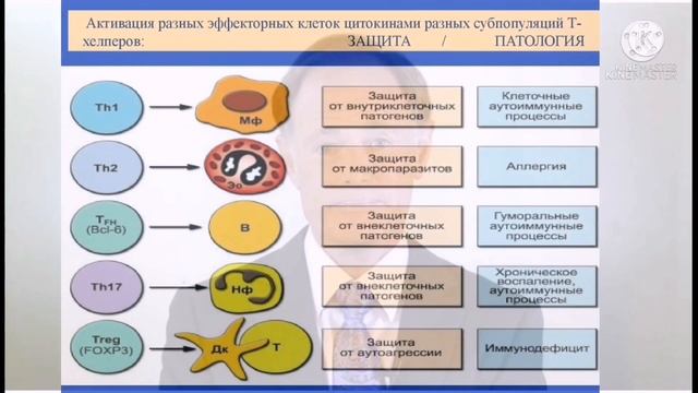 Вред хлеба. Часть 9. Глютен. Доктор веган сыроед Мирсаяпова Анна. смотреть онлайн