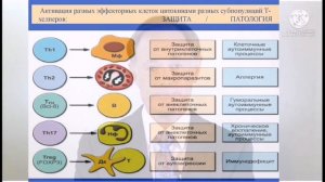 Вред хлеба. Часть 9. Глютен. Доктор веган сыроед Мирсаяпова Анна.