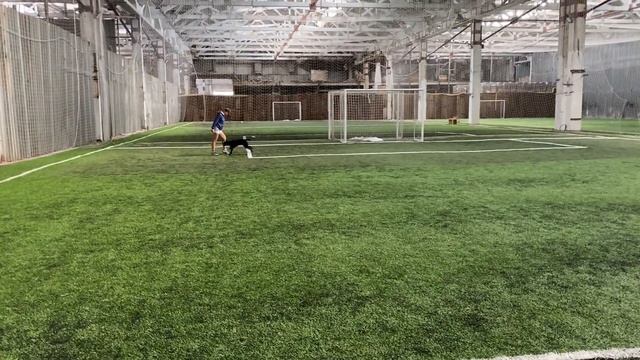 Как научить собаку командам Дрессировка собаки Танцы с собакой Первые шаги № 16 / Брина - 6 месяце смотреть онлайн