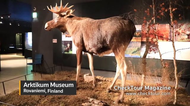 Finland | Lapland Arktikum Museum смотреть онлайн