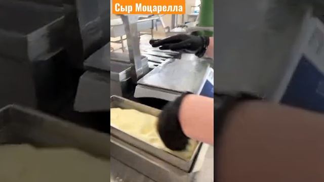 Сыр Моцарелла для пиццы, производство ! смотреть онлайн
