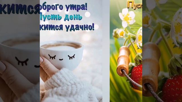 С ДОБРЫМ УТРОМ! ❣️ХОРОШЕГО ДНЯ!