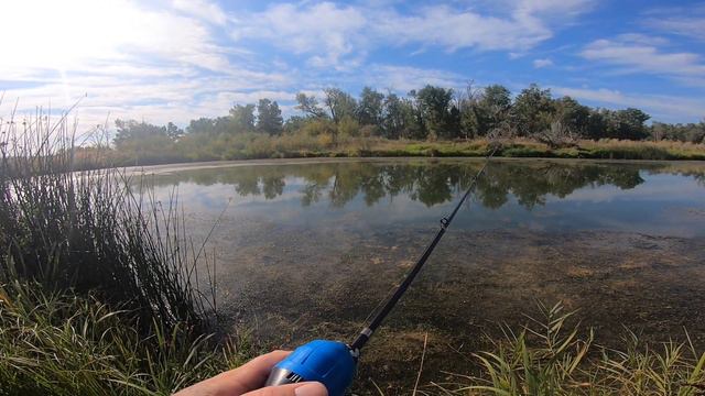 Amazon 50 Dollar Kiddie Pole Challenge (Fail) смотреть онлайн