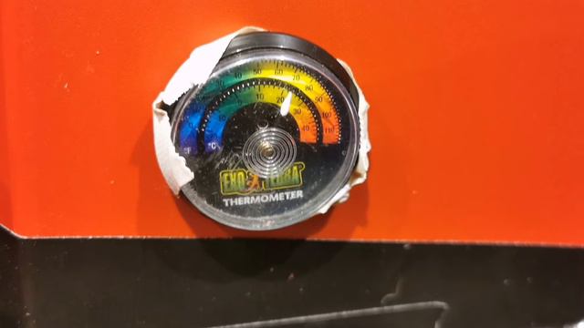 DIY CHICK BROODER 🐣 CHEAP AND EASY 🥰🐔 смотреть онлайн