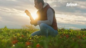 Сок «Добрый» Томат - Польза прямо с фермы