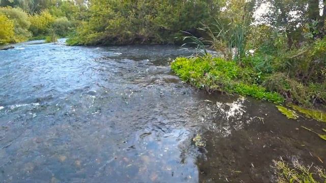 Красивая Меча 2020. Ишутинское городище. смотреть онлайн