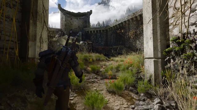 [8K60+] The Witcher 3: NEXT GEN modded - RTX 4090 RAYTRACING - Beyondalllimits reshade смотреть онлайн