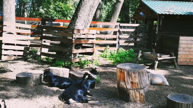 Санкт-Петербург, краткий обзор. Елагин остров. смотреть онлайн