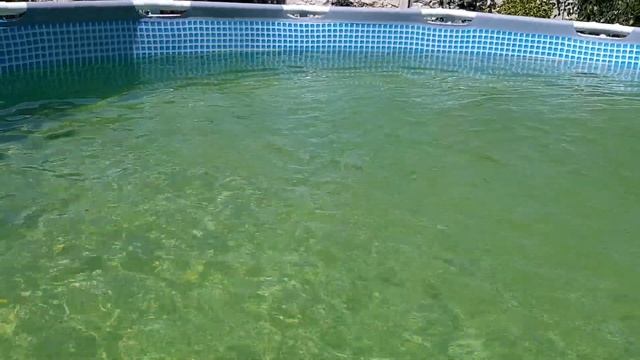 Как очистить воду в бассейне перекисью водорода. Чистая вода в бассейне. смотреть онлайн