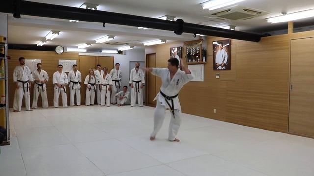 Учедеши. Япония, 2019 г. Kawaguchi Dojo-川口道場 смотреть онлайн