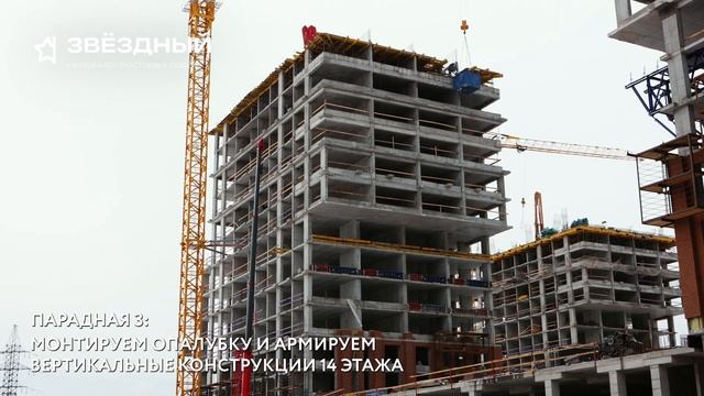 Звездный, ноябрь 2023 смотреть онлайн