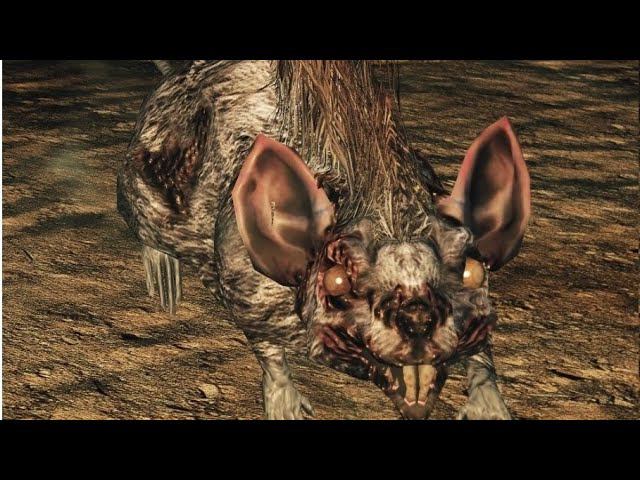 Прохождение Dark Souls 2: Scholar of the First Sin ► Часть 18: Боец крысиной гвардии.