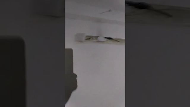 Как работает РЭО Подольск смотреть онлайн