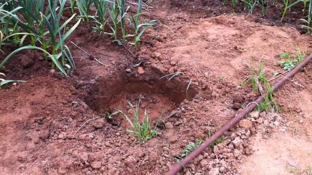 Первый день лета на даче смотреть онлайн