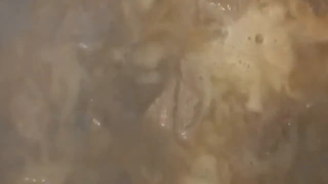 Эксперименты на Плите