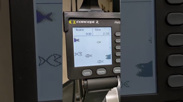 Concept 2 Fish Game Tutorial By Crossfit Denver смотреть онлайн