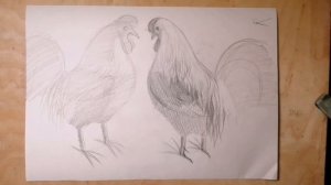 Рисунок. Рисование птиц.