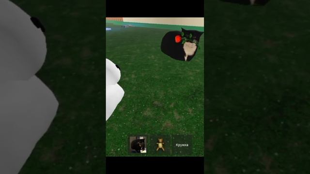 Maxwell cat || кот макс #roblox #роблокс #rb #robloxshorts #говрек #рб #мем #рекомендации #maxwell смотреть онлайн