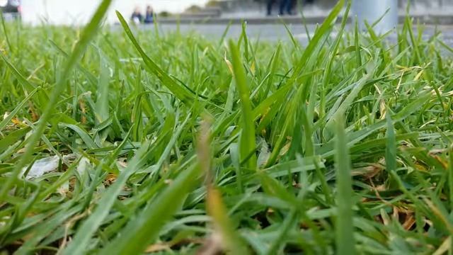 imbroglio | a journey смотреть онлайн