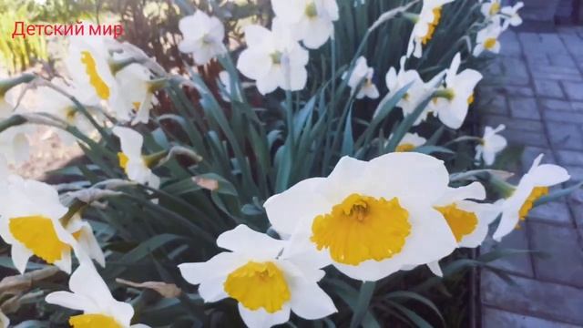 Пословицы и поговорки о весне детям. #поговорки#весна#пословицы смотреть онлайн