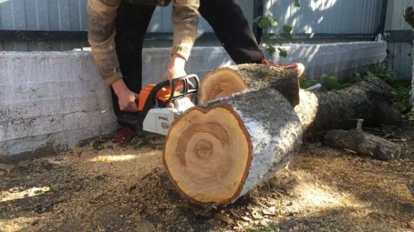 Stihl ms 180 в работе